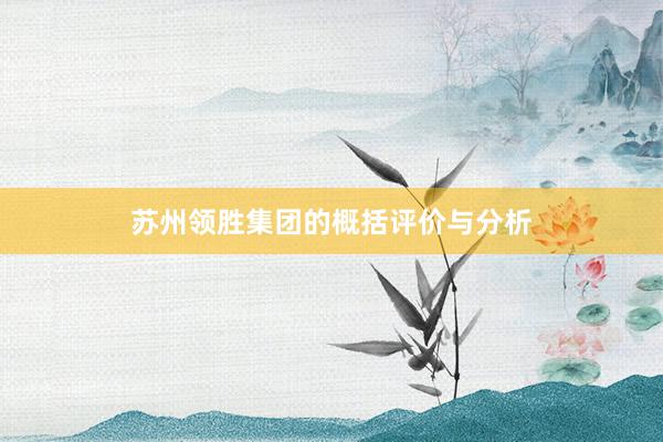 苏州领胜集团的概括评价与分析