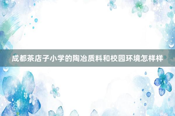 成都茶店子小学的陶冶质料和校园环境怎样样